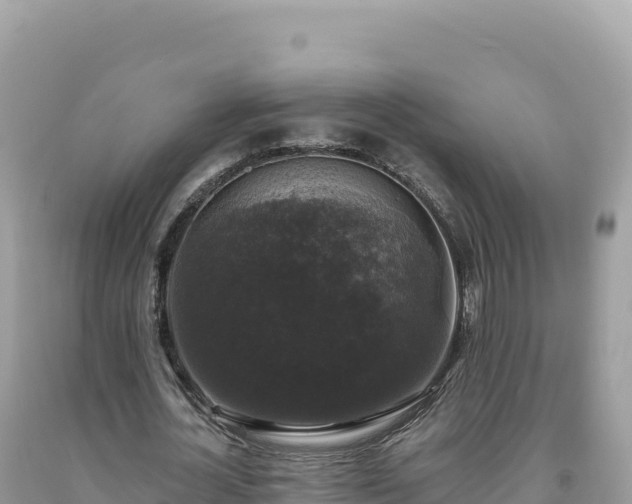 X0000093740724200710231210