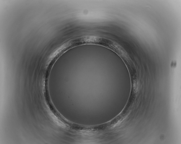 X0000093740725200710231210