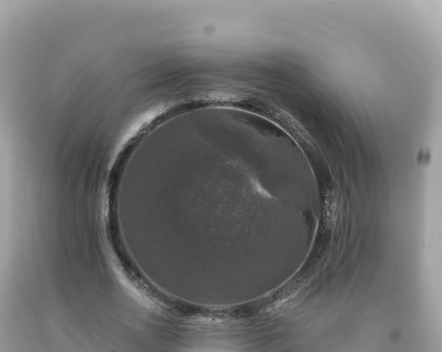 X0000093740726200710231210