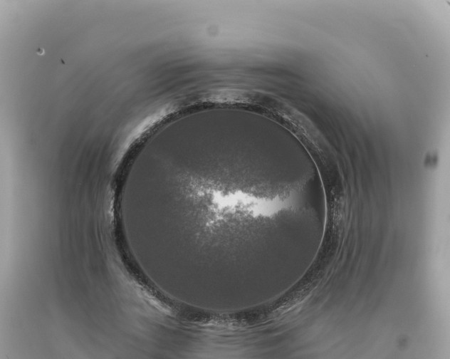 X0000093740727200710231210