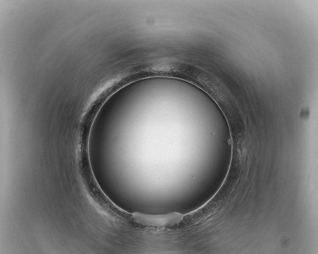 X0000093740728200710231210