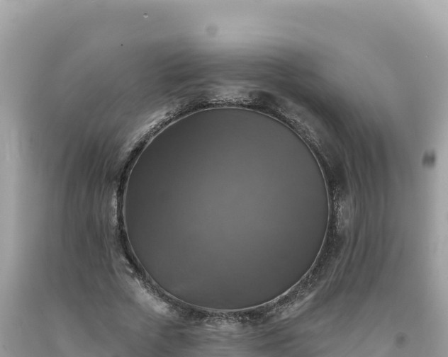 X0000093740729200710231210