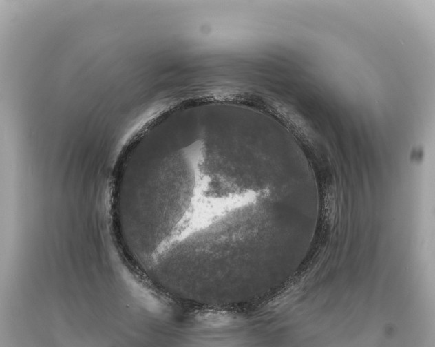X0000093740730200710231210