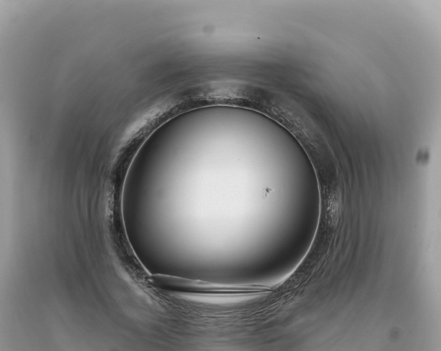 X0000093740732200710231211