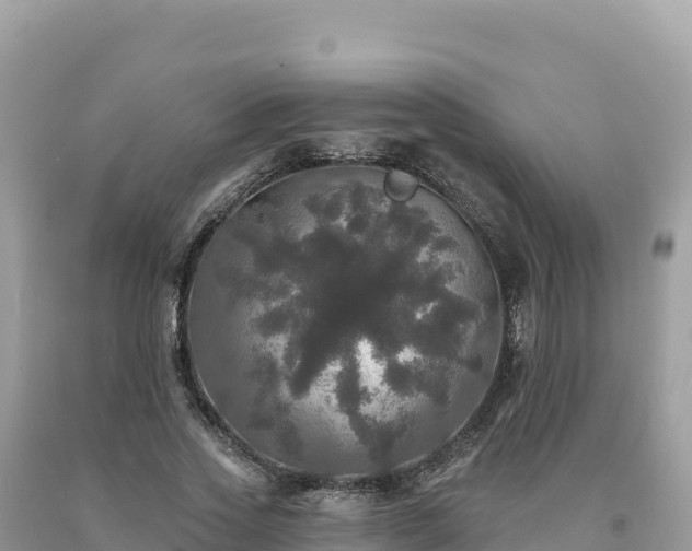 X0000093740733200710231211