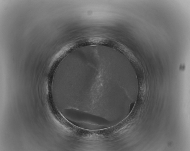 X0000093740734200710231211