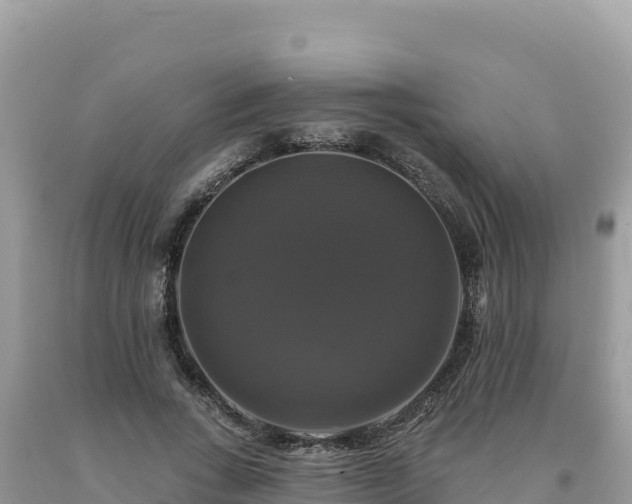 X0000093740735200710231211