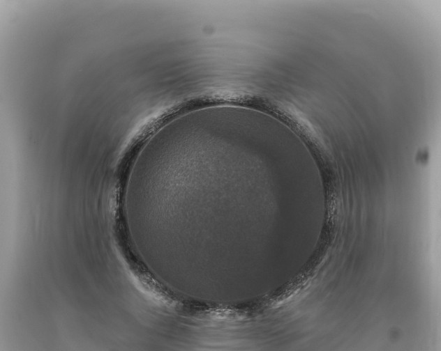 X0000093740736200710231211