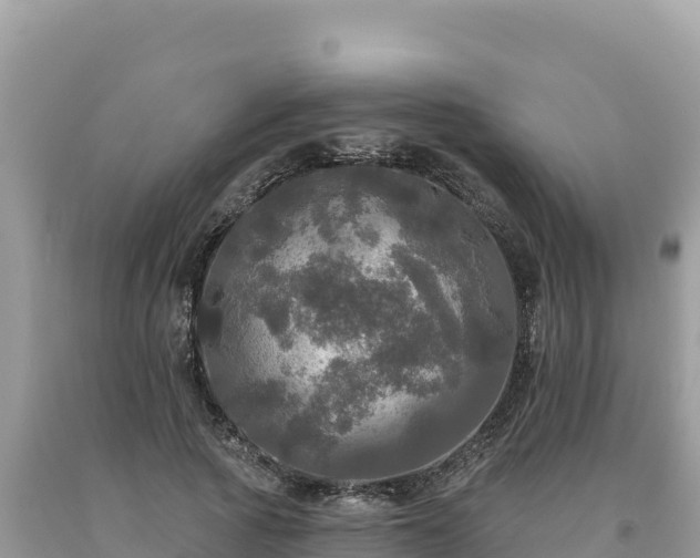 X0000093740737200710231211