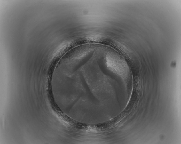 X0000093740738200710231211