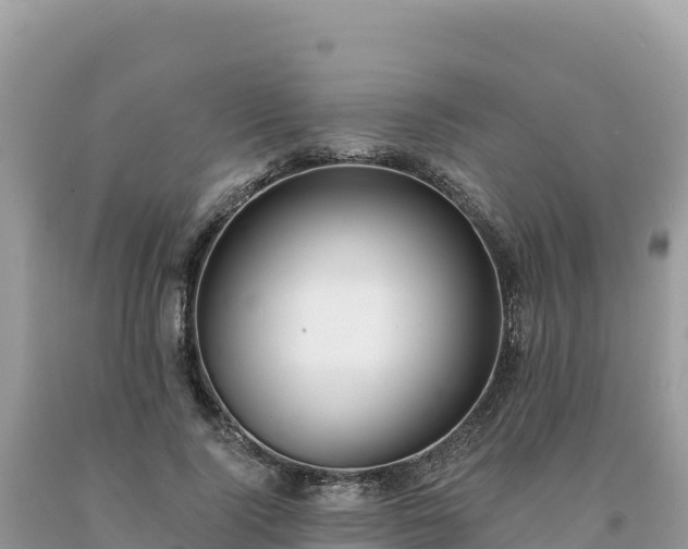X0000093740740200710231211