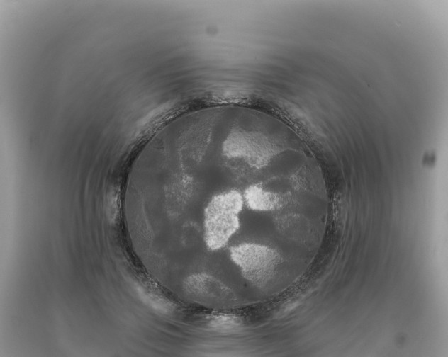 X0000093740741200710231211