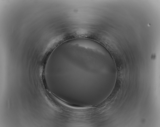 X0000093740742200710231211