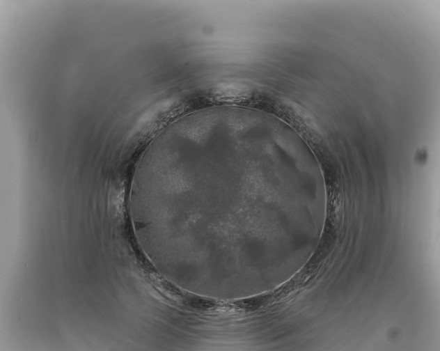 X0000093740745200710231211