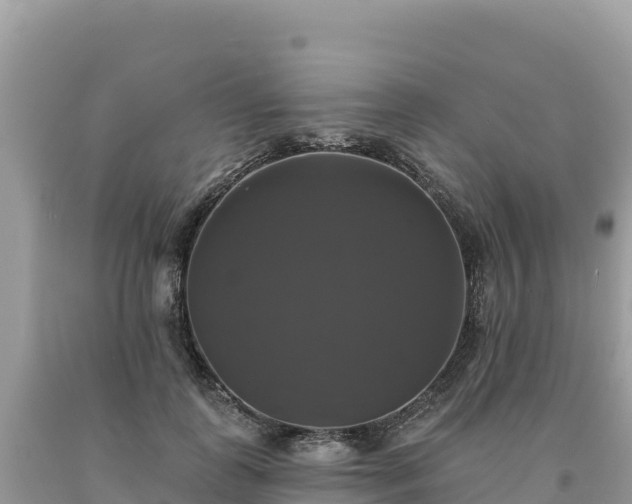 X0000093740747200710231211