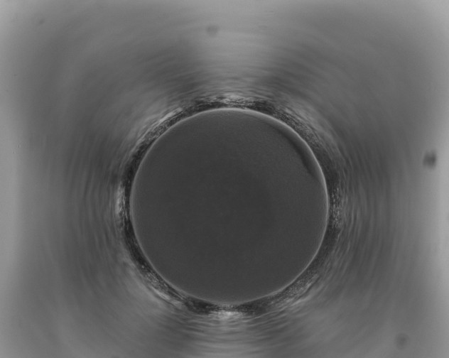 X0000093740748200710231211
