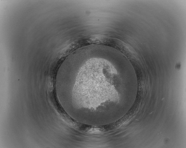 X0000093740751200710231211