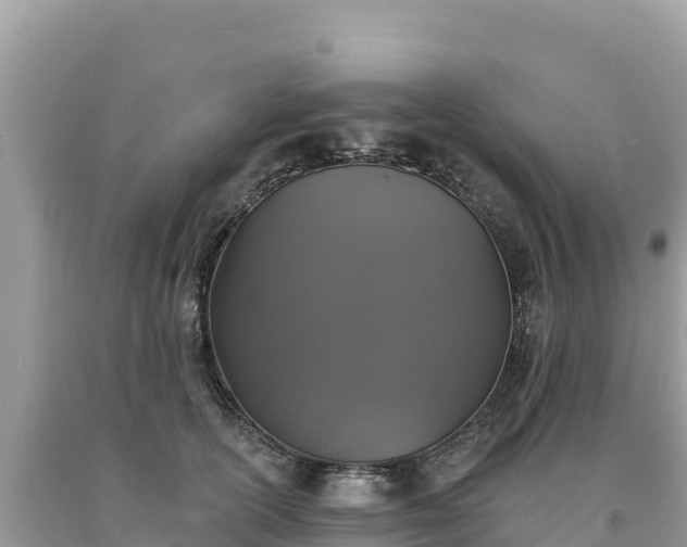 X0000093740754200710231211