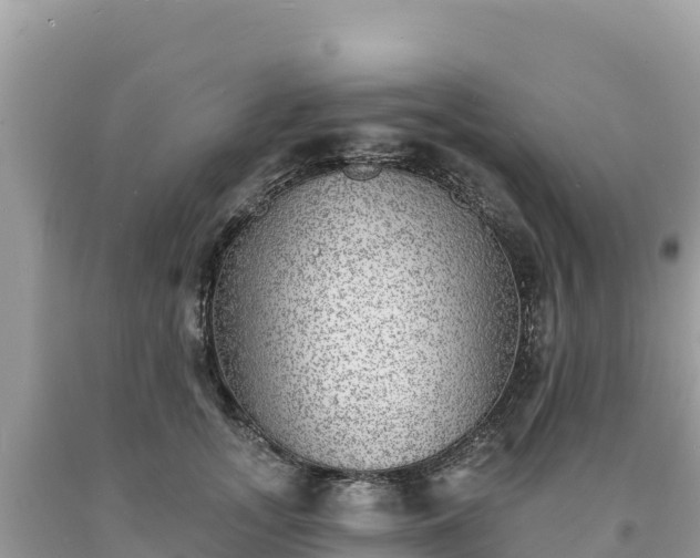 X0000093740755200710231211
