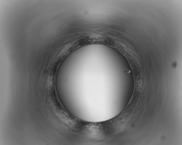X0000093740756200710231211