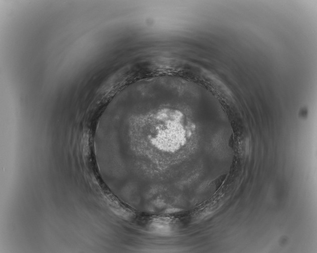 X0000093740757200710231211