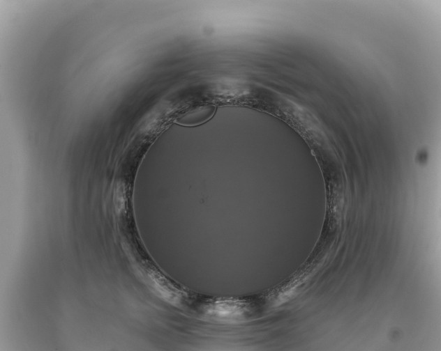 X0000093740758200710231211