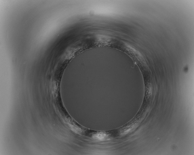 X0000093740759200710231211