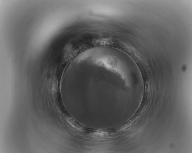 X0000093740760200710231211
