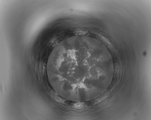 X0000093740761200710231211