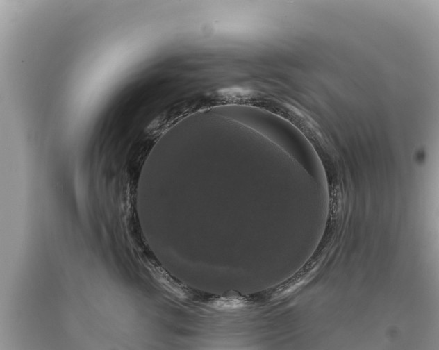 X0000093740762200710231211