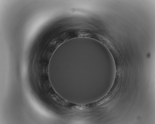 X0000093740763200710231211