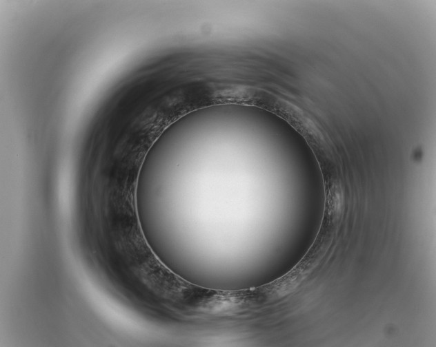 X0000093740764200710231211