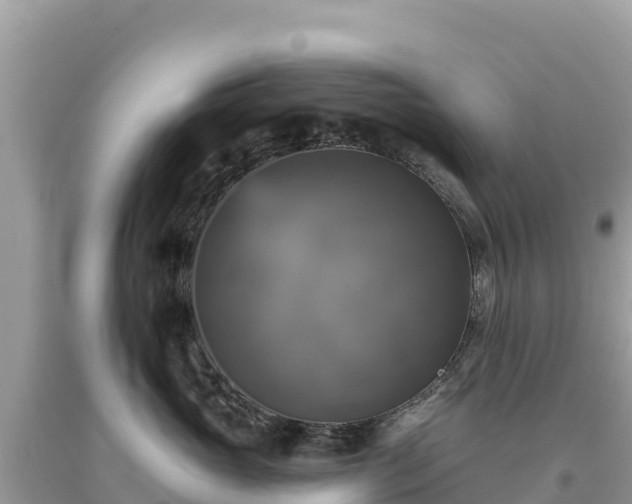 X0000093740765200710231211