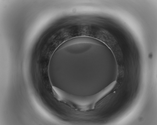 X0000093740766200710231211