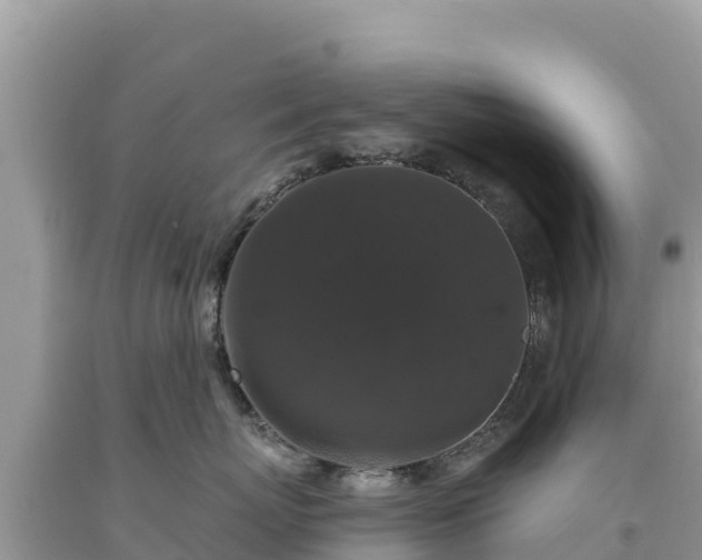 X0000093740767200710231211