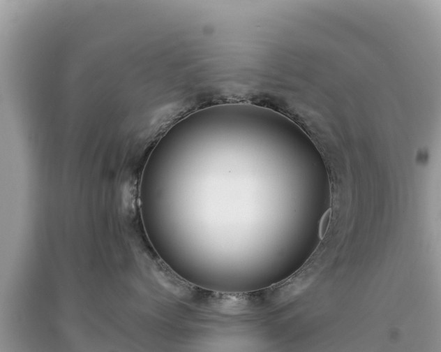 X0000093740768200710231211