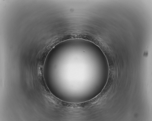 X0000093740770200710231210