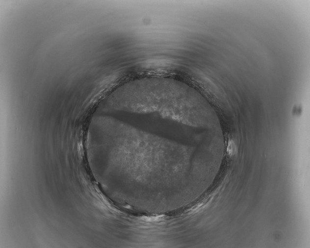 X0000093740771200710231210