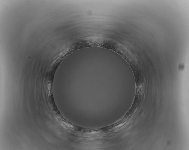 X0000093740772200710231210