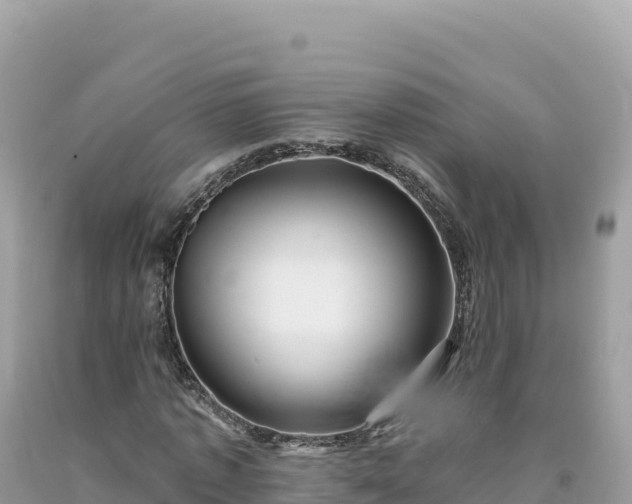 X0000093740773200710231210