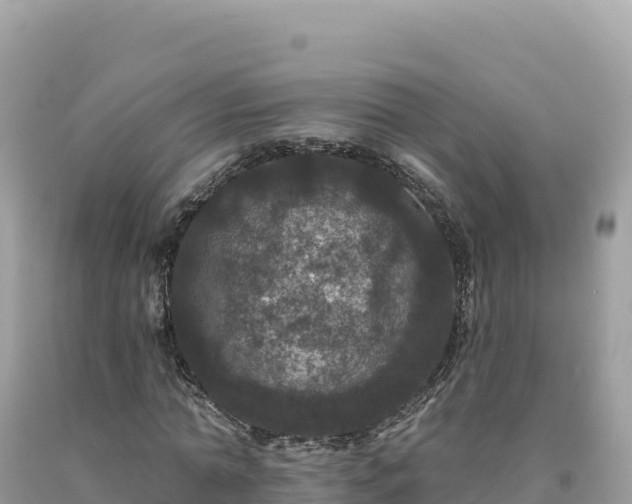 X0000093740774200710231210