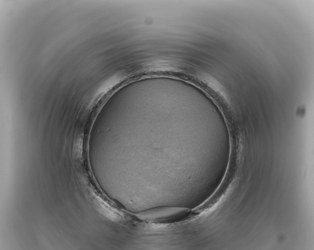 X0000093740777200710231210