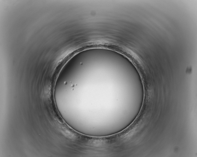 X0000093740778200710231210