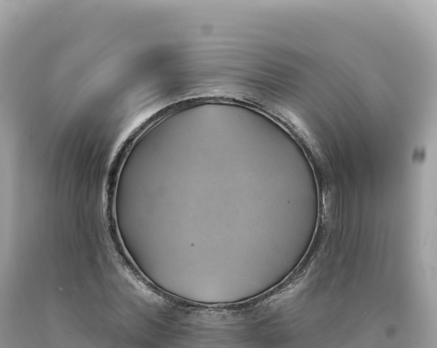 X0000093740780200710231210