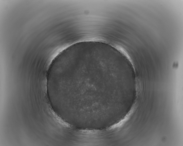 X0000093740781200710231210