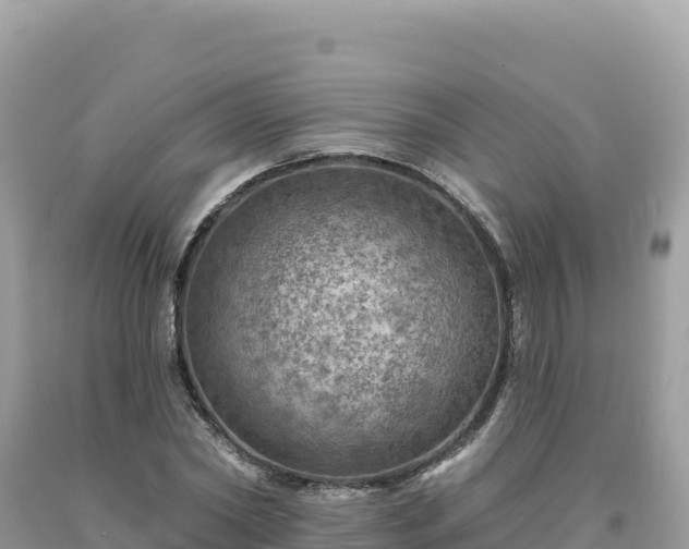 X0000093740782200710231210