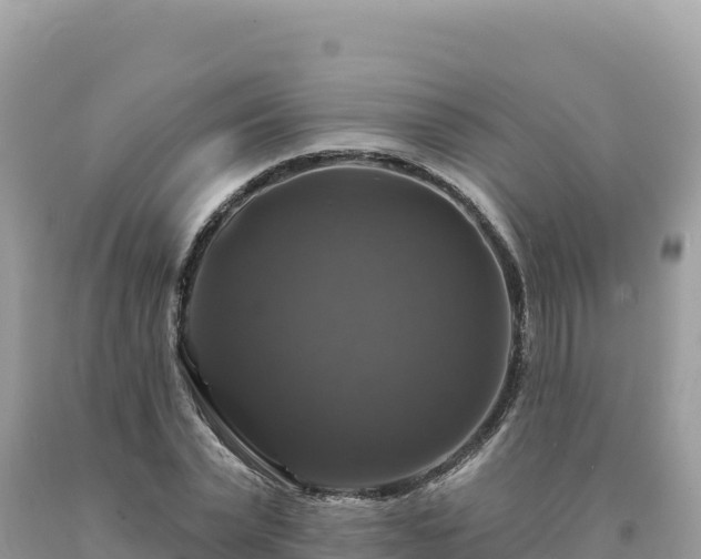 X0000093740783200710231210