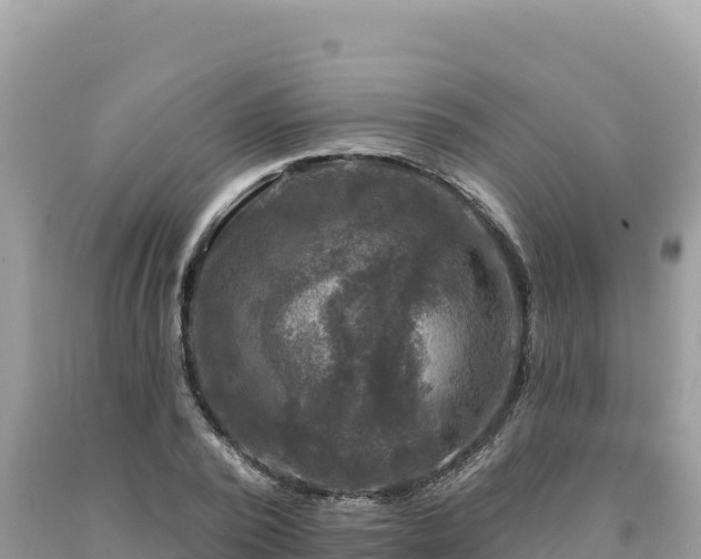 X0000093740784200710231210