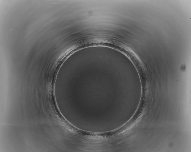 X0000093740785200710231210