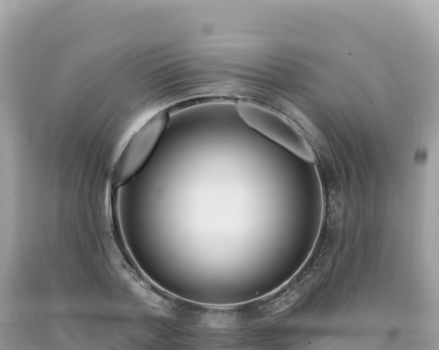 X0000093740788200710231210